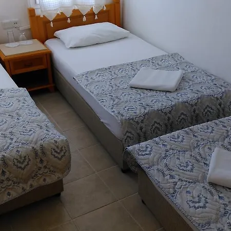 Belga בודרום