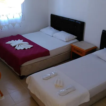 Belga * Bodrum