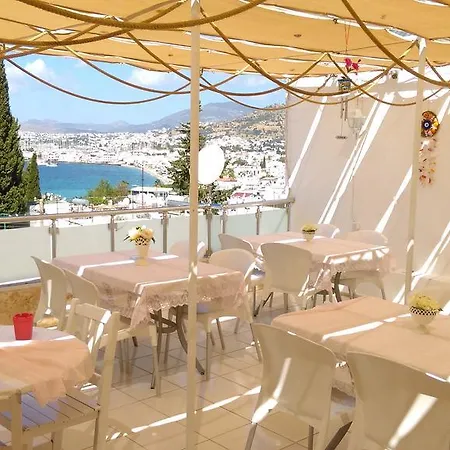 Belga Guest house *