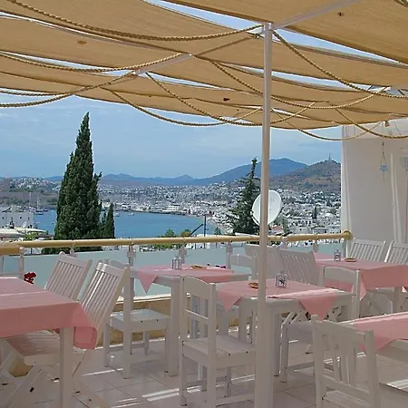 Belga Guest house *